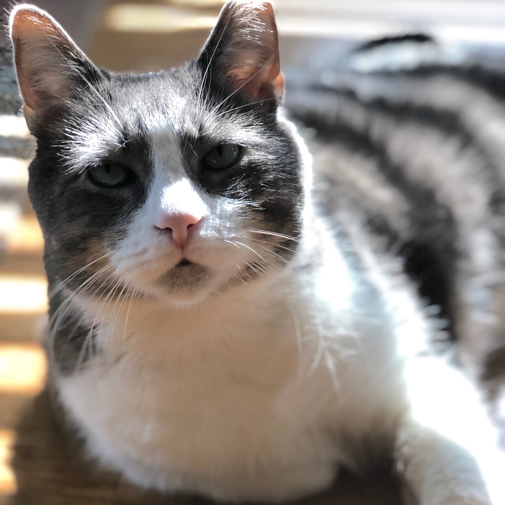 Meet your Posher, Yvonne